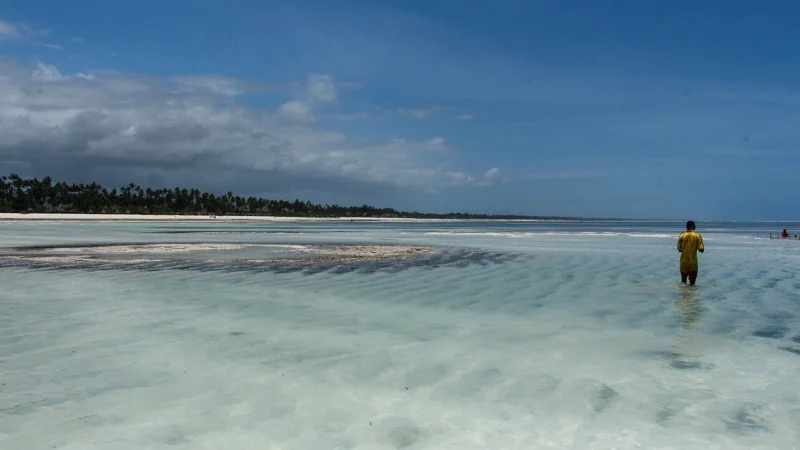 Zanzibar: ile się leci? Porównanie czasu lotu bezpośredniego i z przesiadką