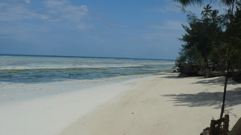 Zanzibar pogoda w marcu: temperatury, opady i wskazówki na wyjazd