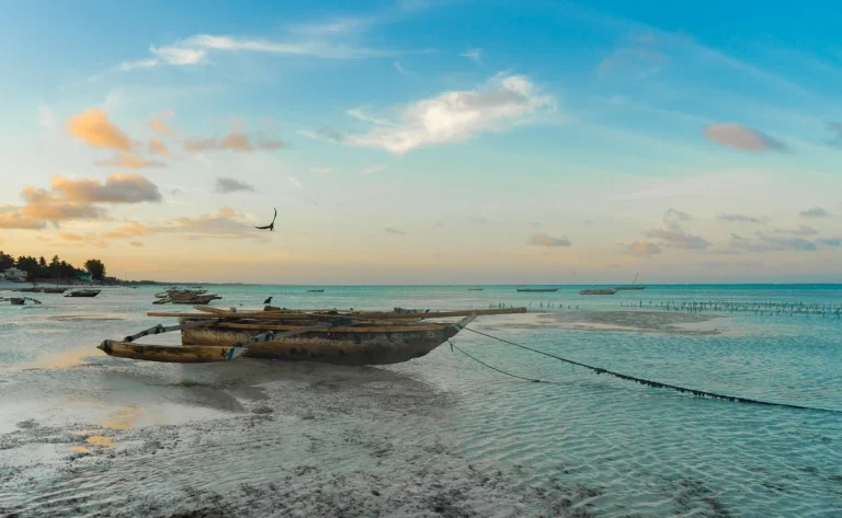Zanzibar pogoda w styczniu i grudniu: kiedy lepiej lecieć?